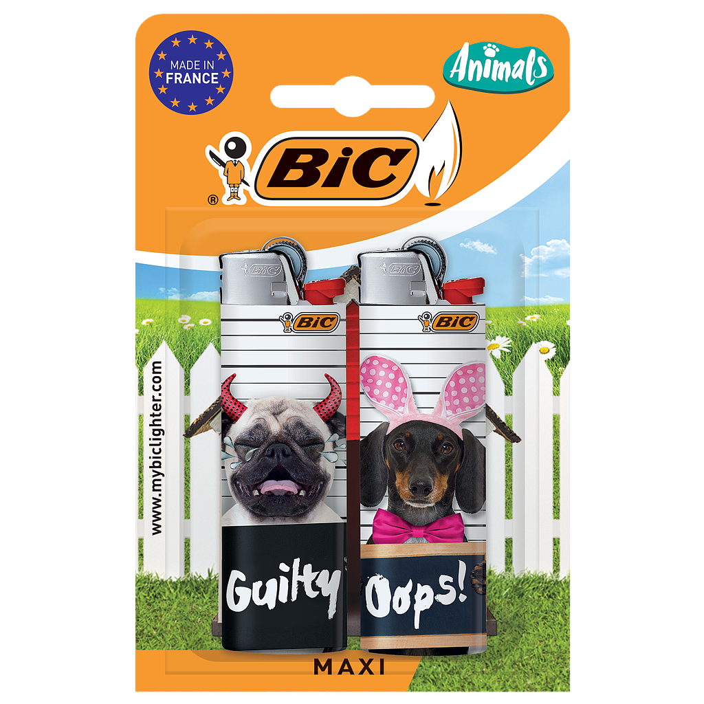 BRIQUET BIC J26 ANIMALS /2