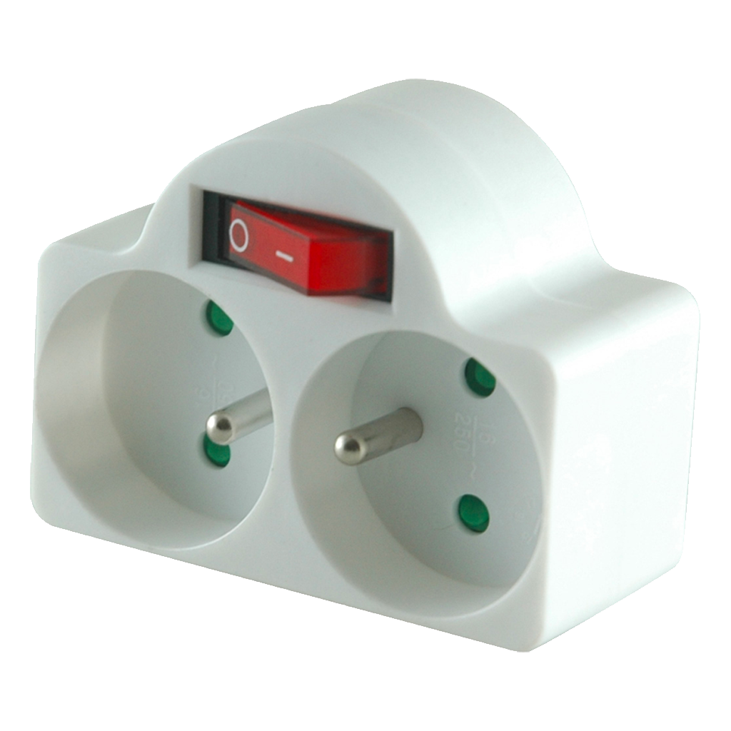 DOMINO + INTERRUPTEUR 2X16A + TERRE