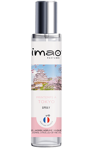 [IMAO_03307] IMAO VAPO PRINTEMPS A TOKYO 